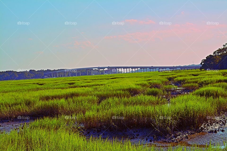 Low Country 