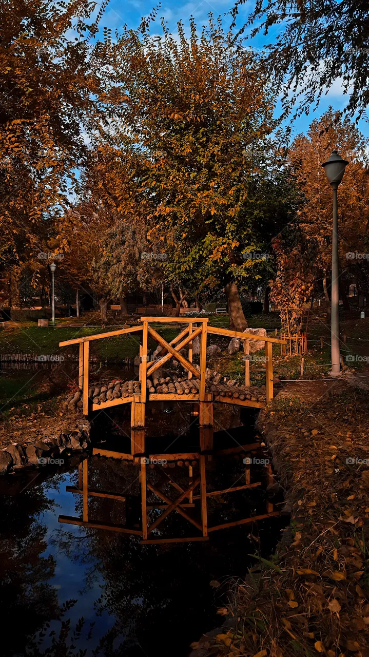 Autumn