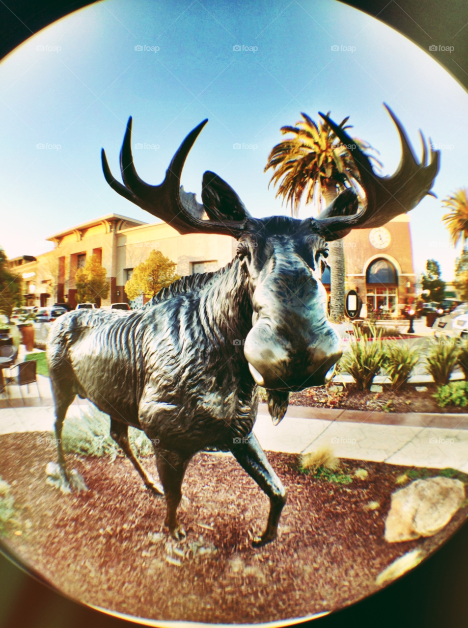 statue park art moose by gene916