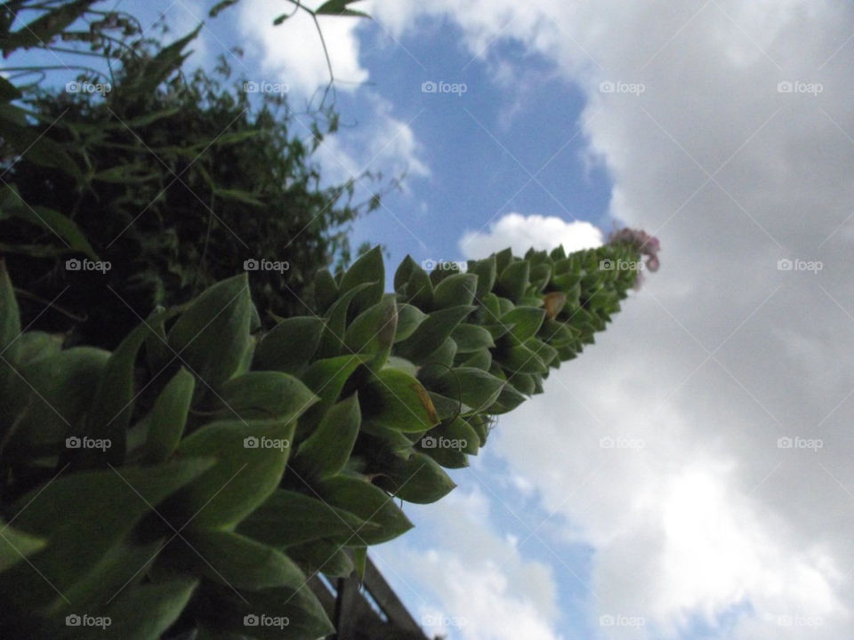 sky garden clouds chill by gordynodrog