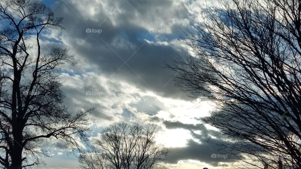 A Very Wind Early Spring Day