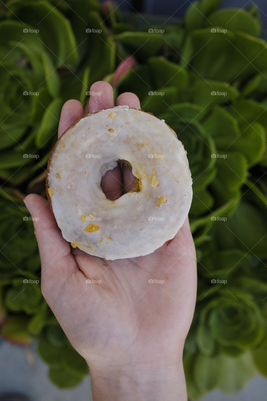 Hand holding donut. 