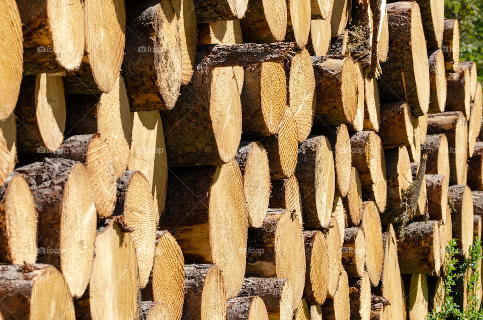 Stack of Timber