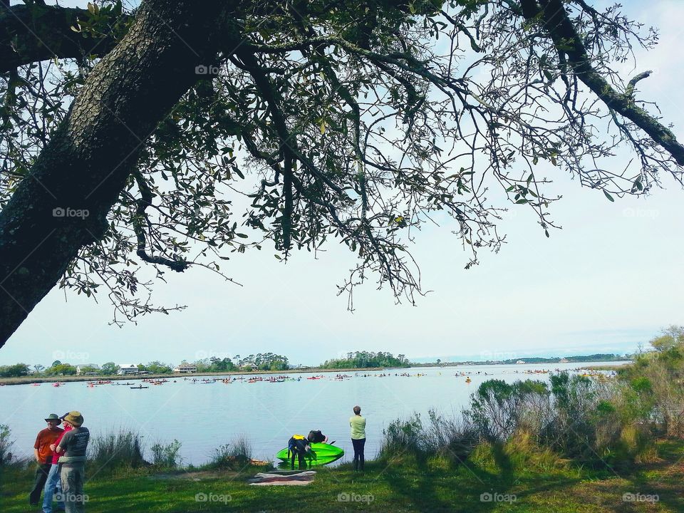 Kayak race entrants