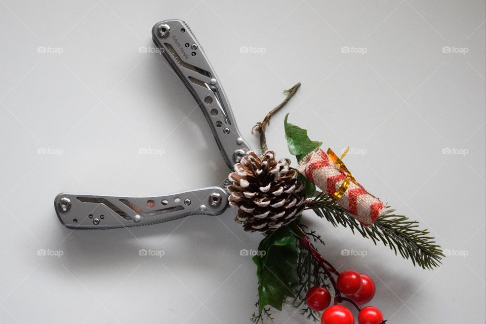 Stay creative with 🌲