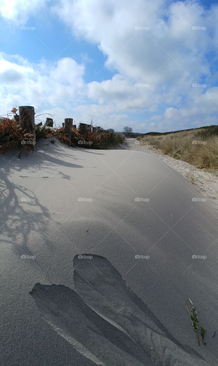 düne sand strand Meer