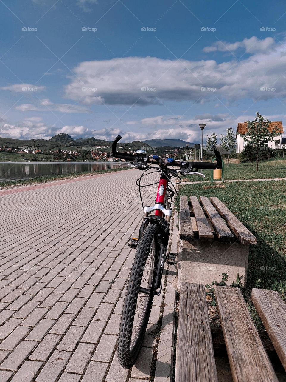 Happy Bicycle