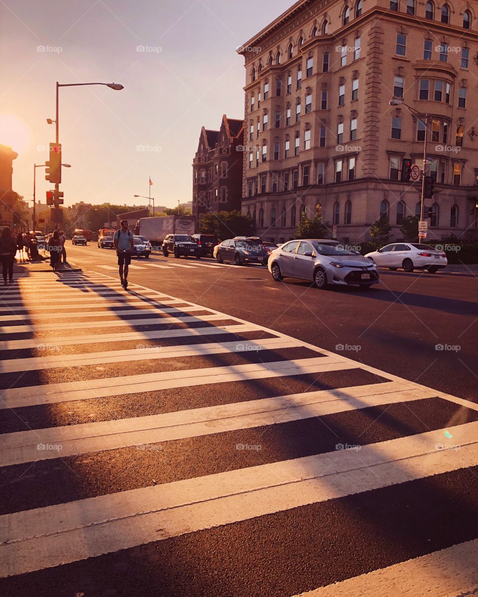 Golden hour and long shadows