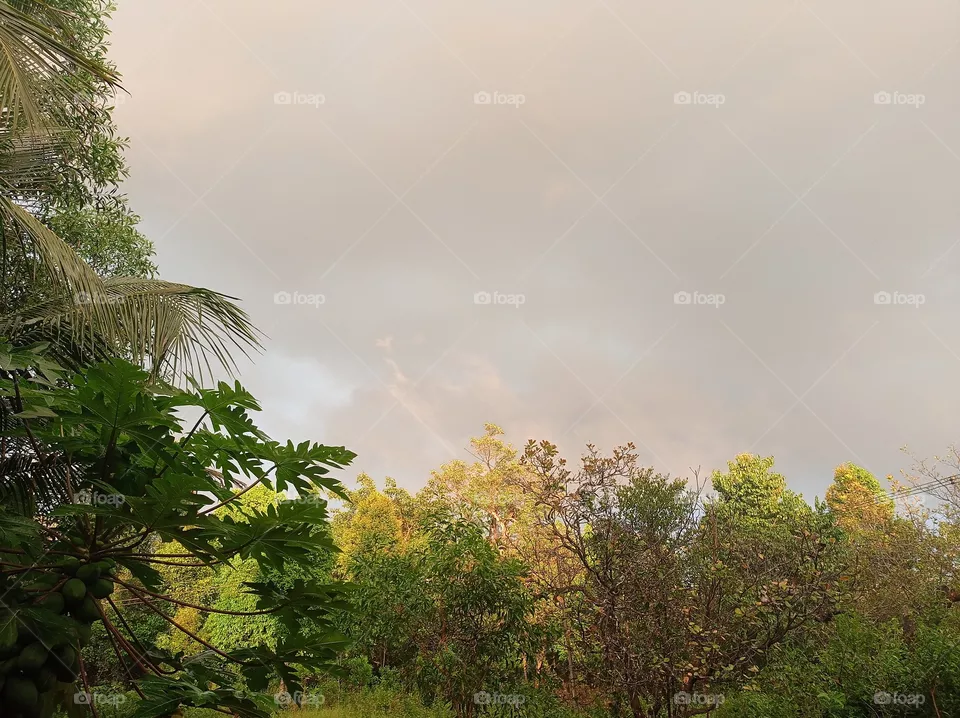 weather