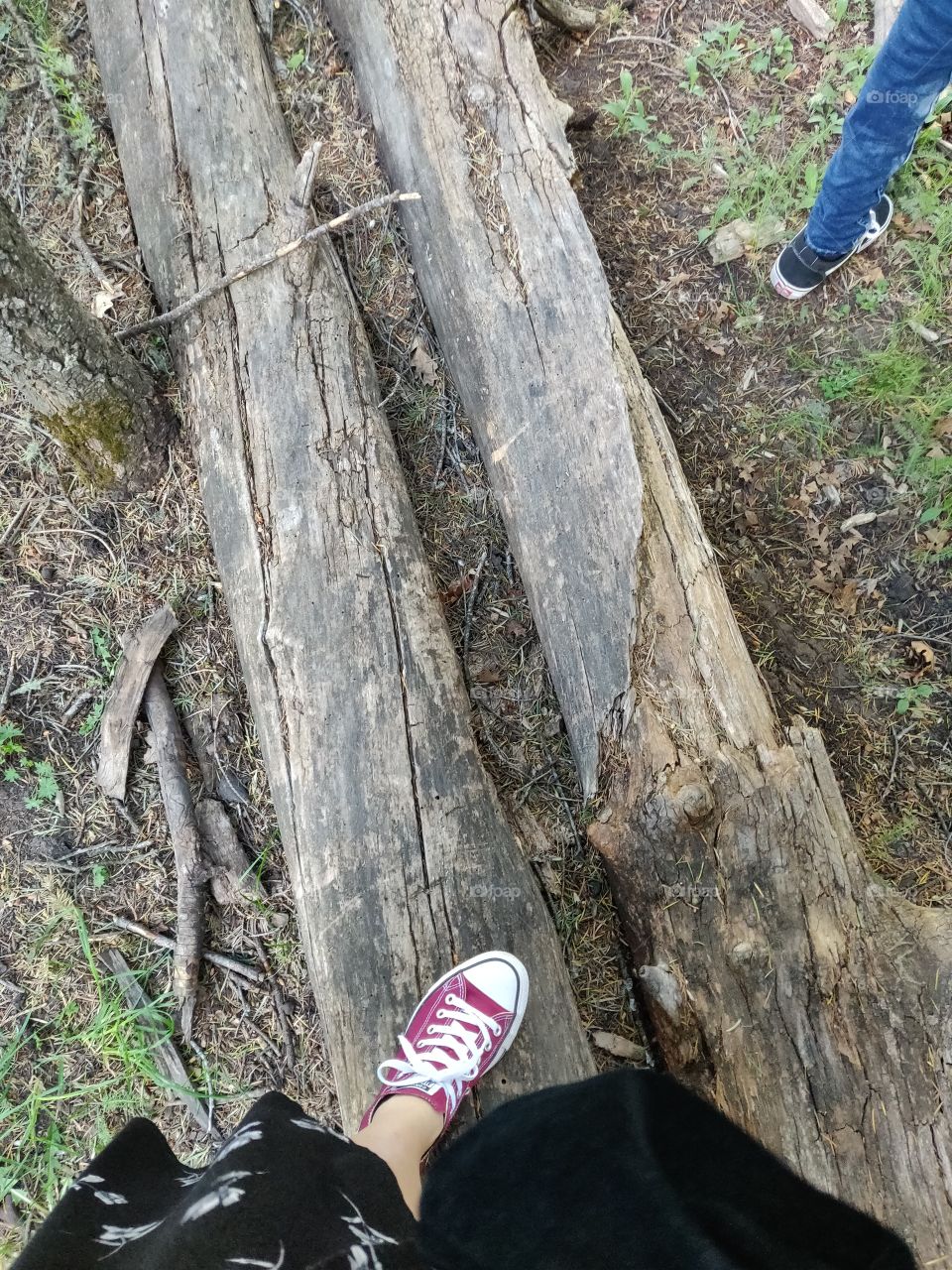 walking in the woods