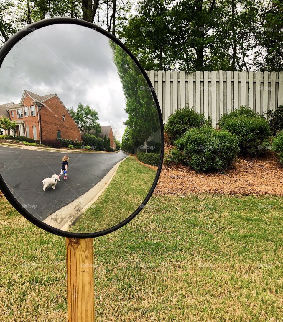 A toddler girl walking a little white dog in a neighborhood in Georgia on a spring day, as seen in a reflection of a safety mirror on the side of the road.