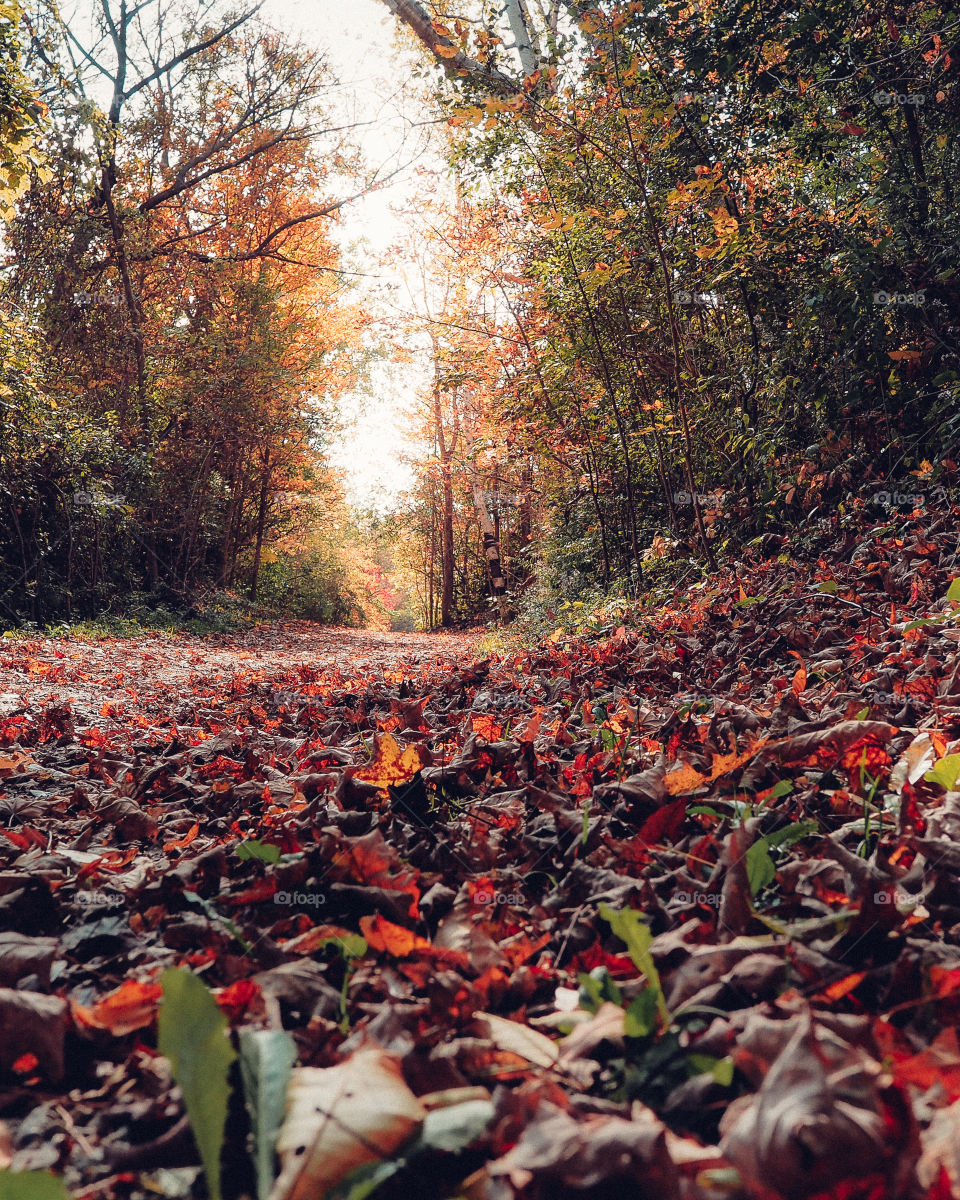 What a wonderful fall day