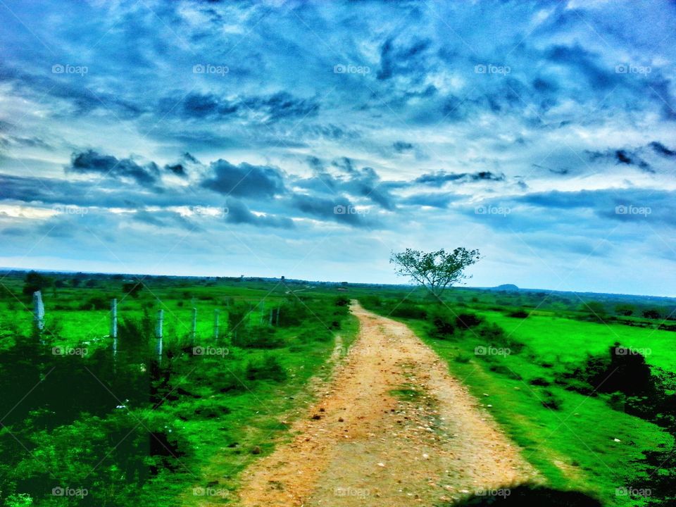 beautiful scenery. road