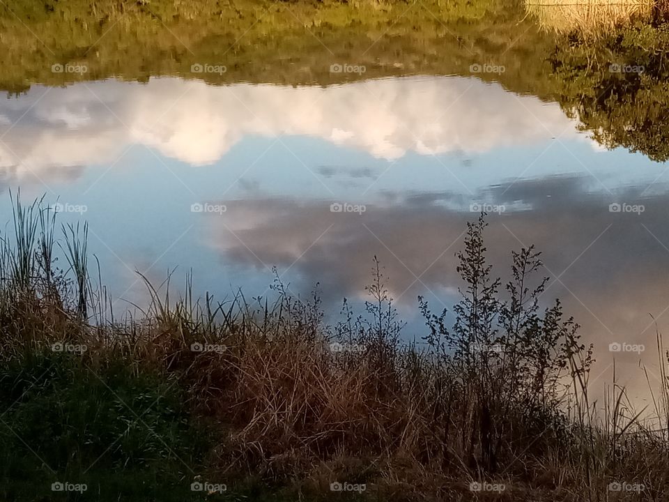 Reflections of nature