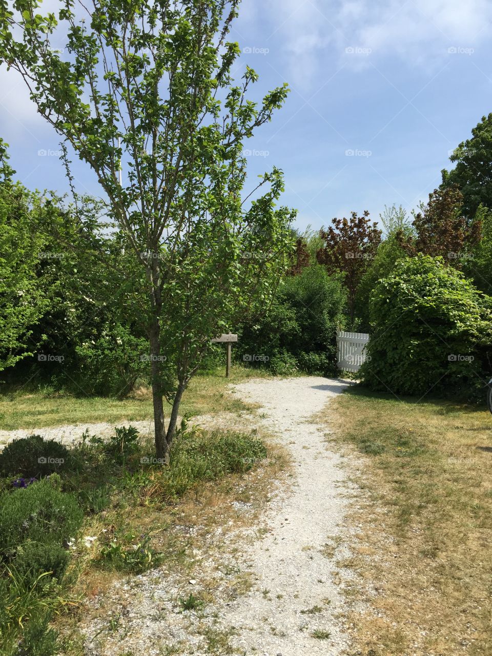 Schiermonnikoog Island