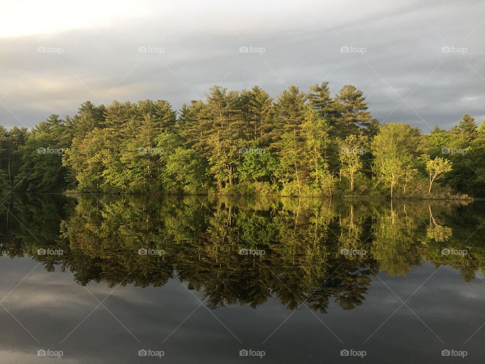 Mirroring image in a darker perspective (look upside down)
