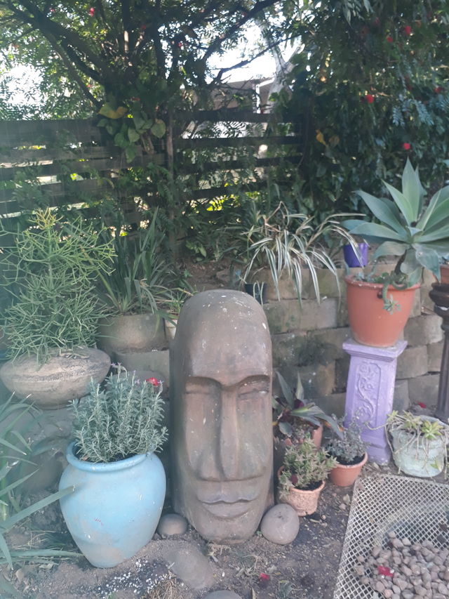 Urban gardening