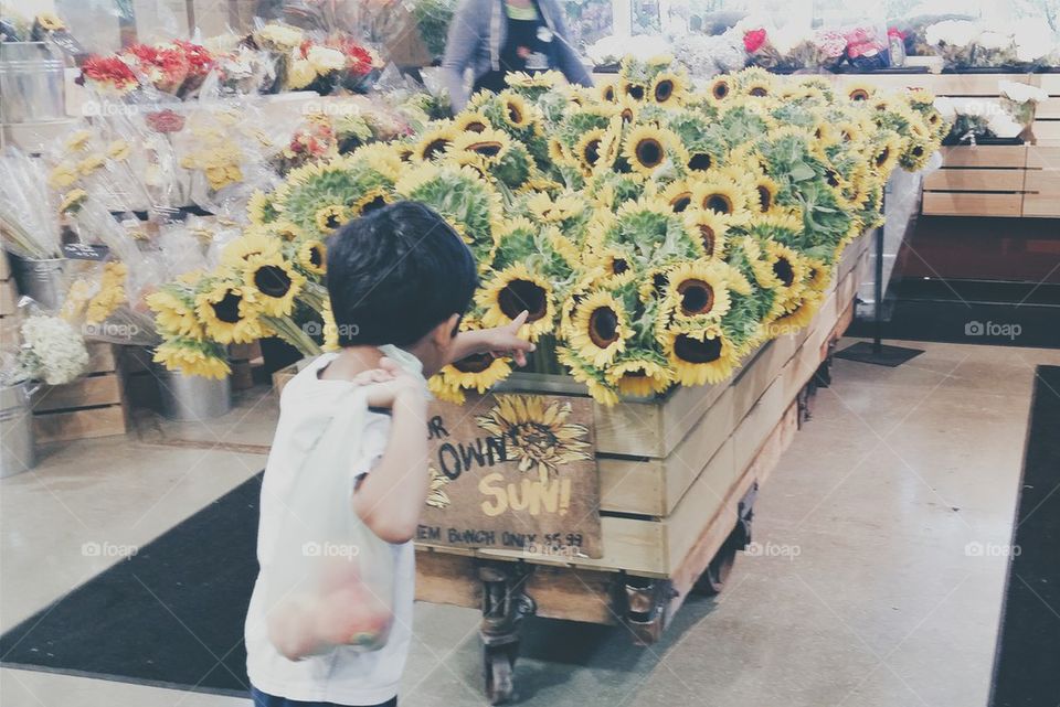 Stop for Sunflowers