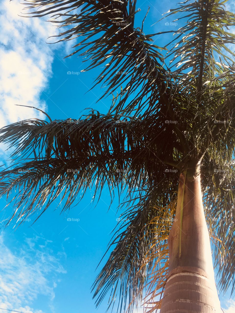 🌅Desperte, #Jundiaí!
Com o azul e verde infinitos desejando uma ótima #QuartaFeira para todos.
🍃
#sol #sun #sky #céu #photo #nature #morning #alvorada #natureza #horizonte #fotografia #paisagem #inspiração #amanhecer #mobgraphy #mobgrafia