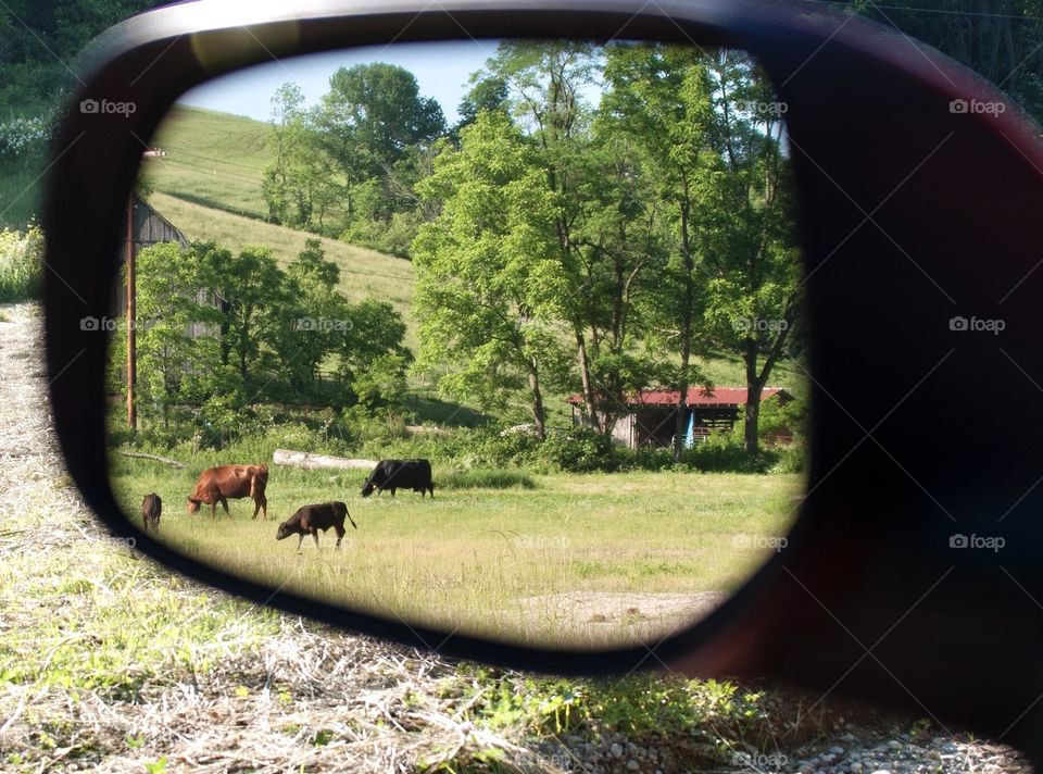 Reflection in side view mirror, framing composition 