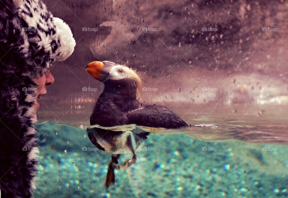 Love at first sight.