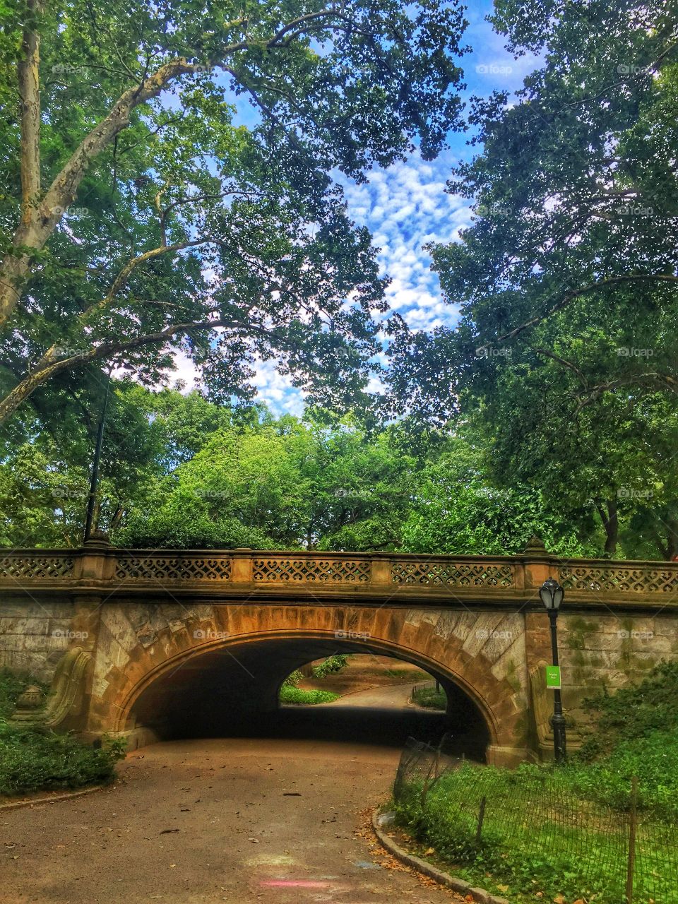 Lonesome Bridge. A bridge in Central Park