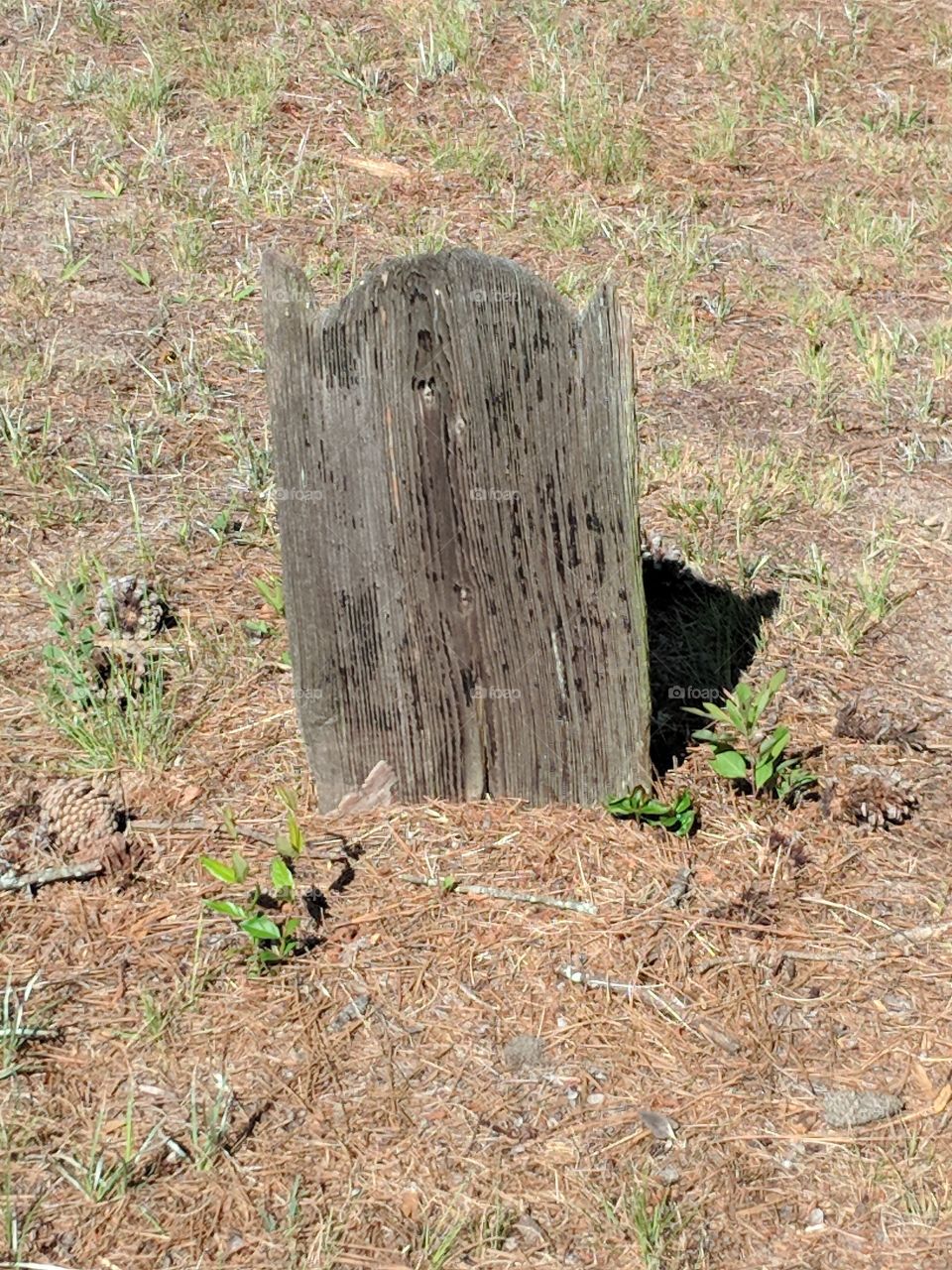 wooden tombstone