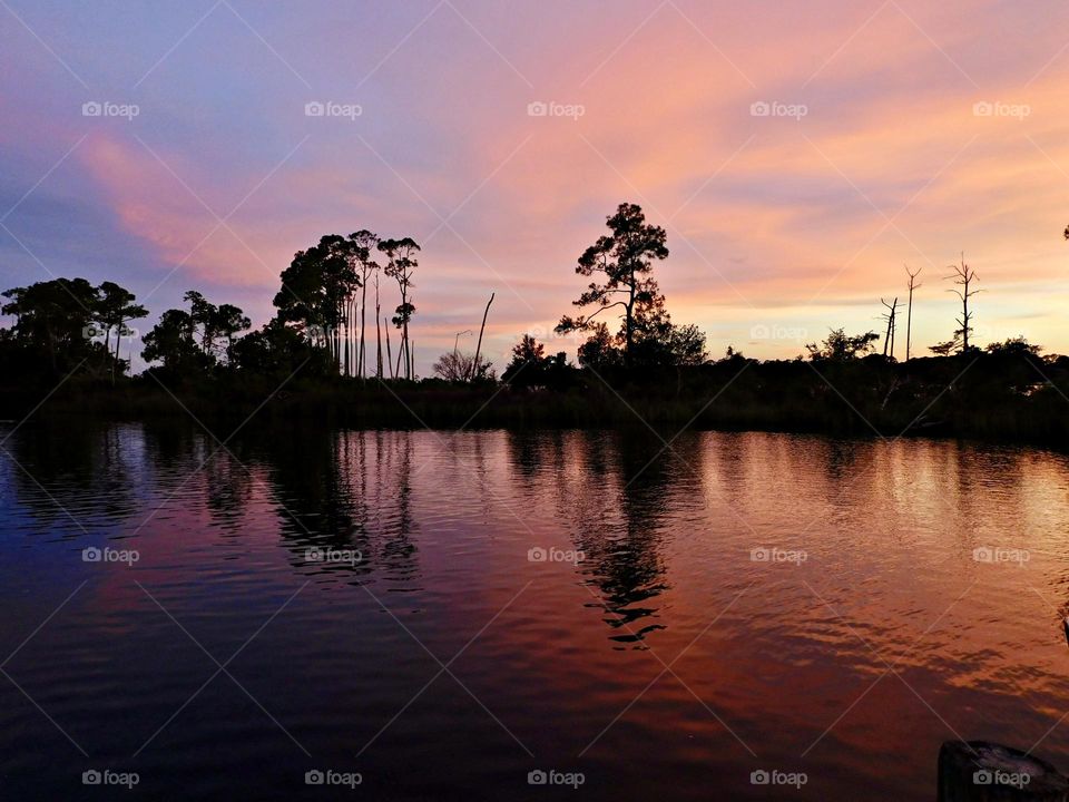 Mesmerizing sunset over the bay with a mauve colored sky and trees silhouettes