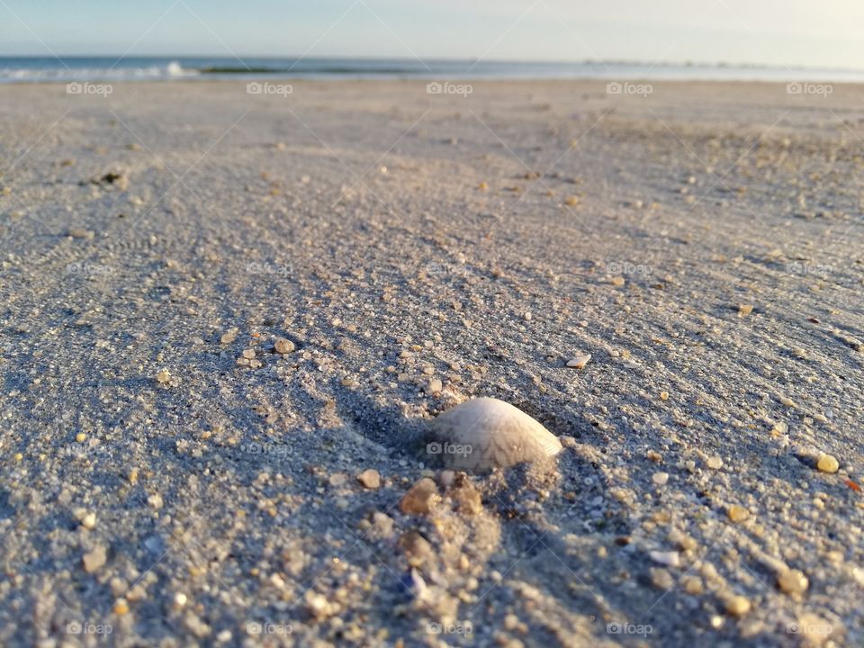 Sable et coquillage