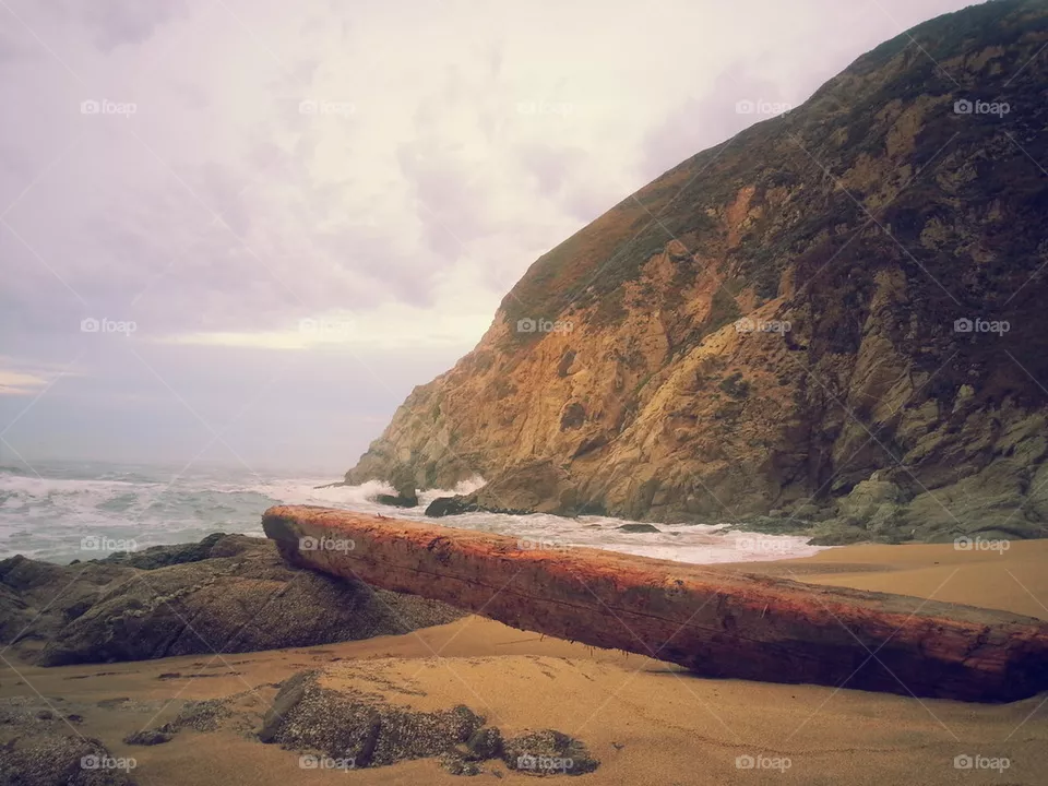 whale cove