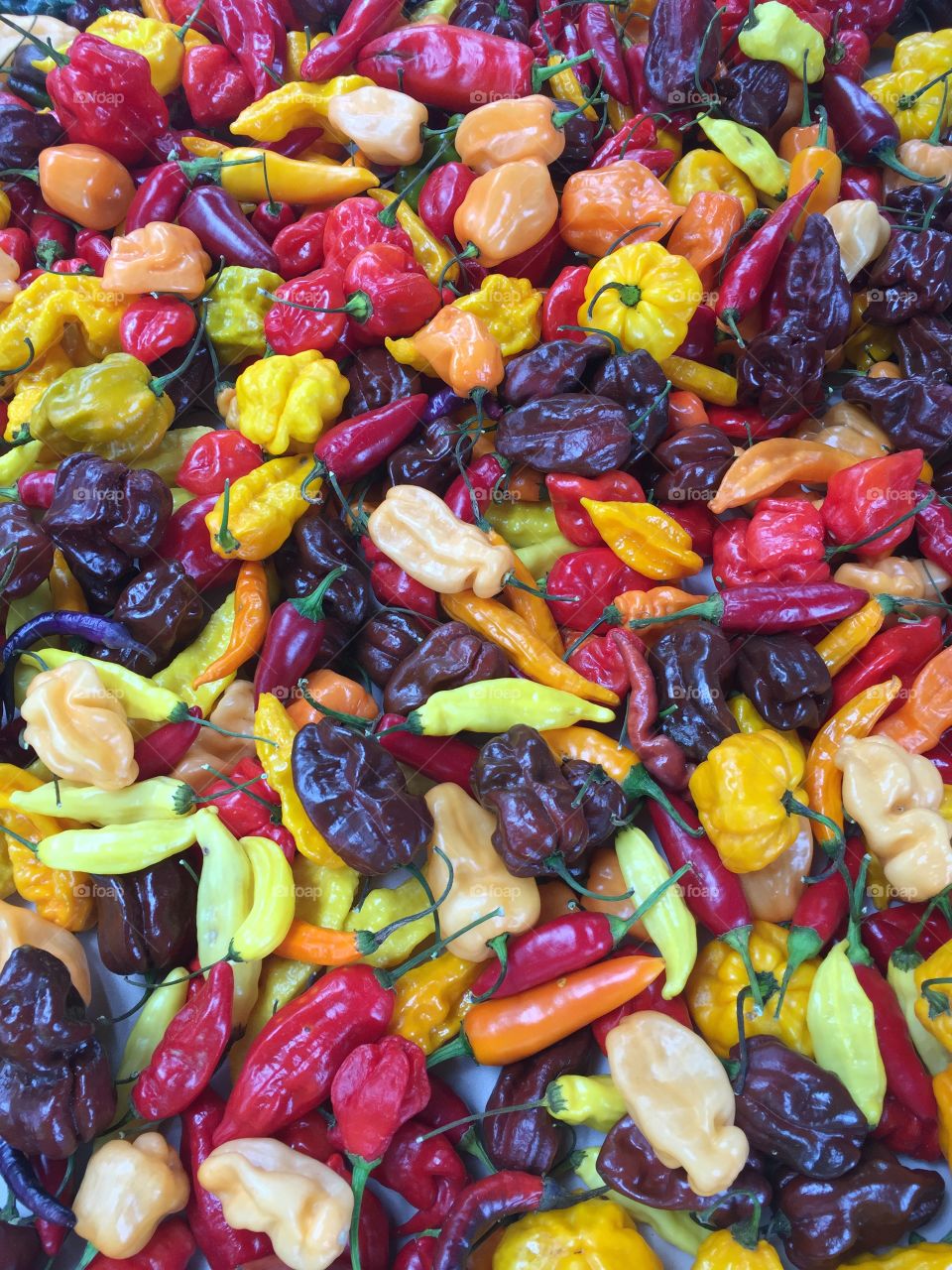 Hot today... Chili tomorrow