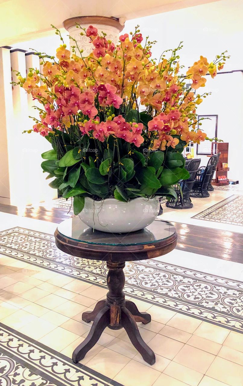 The posh bunch of orchid blooming flowers in low wide flowerpot vase on the small round dark wood table in the middle of building hall