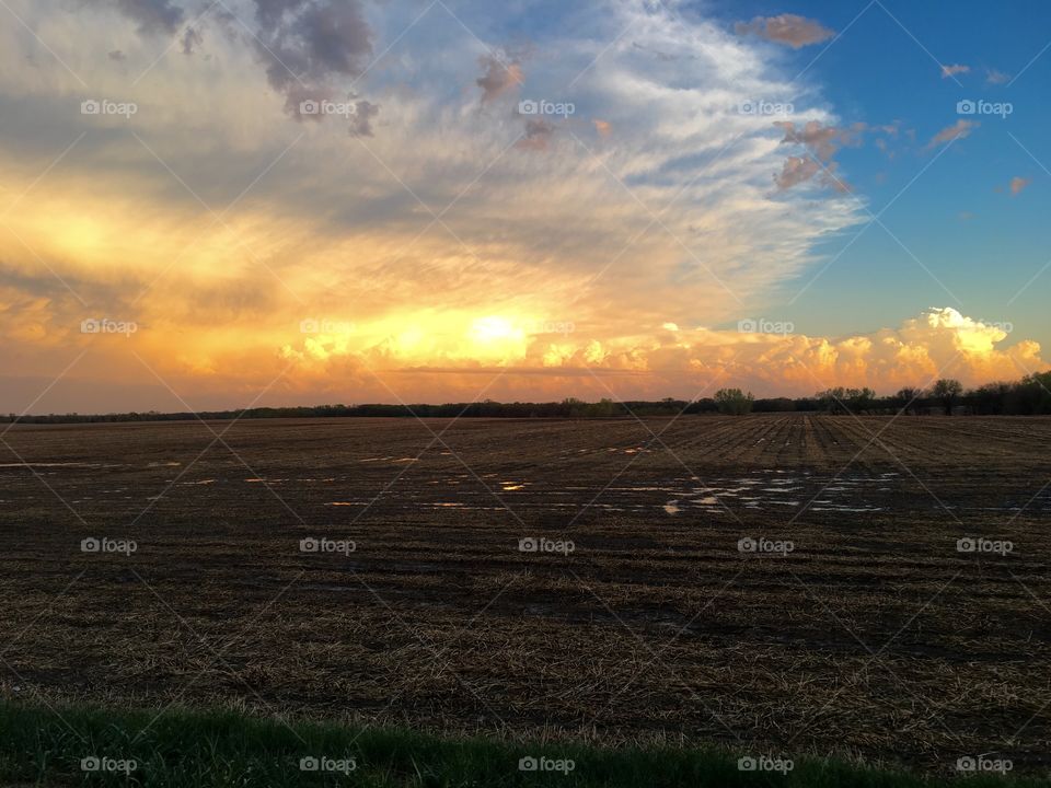View of a field during sunset