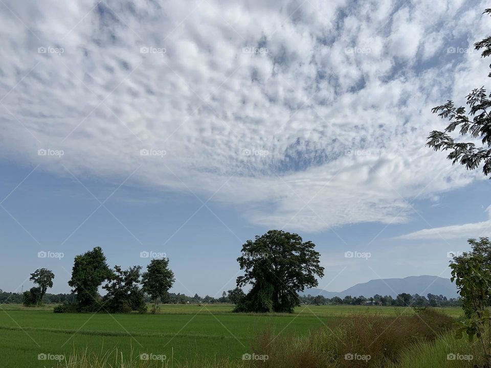 Something about December, Thailand (Countryside)