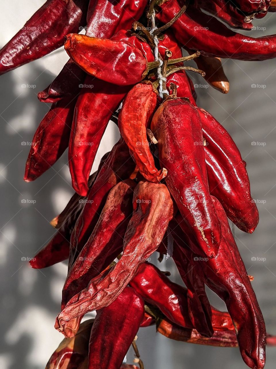 red dried hot pepper