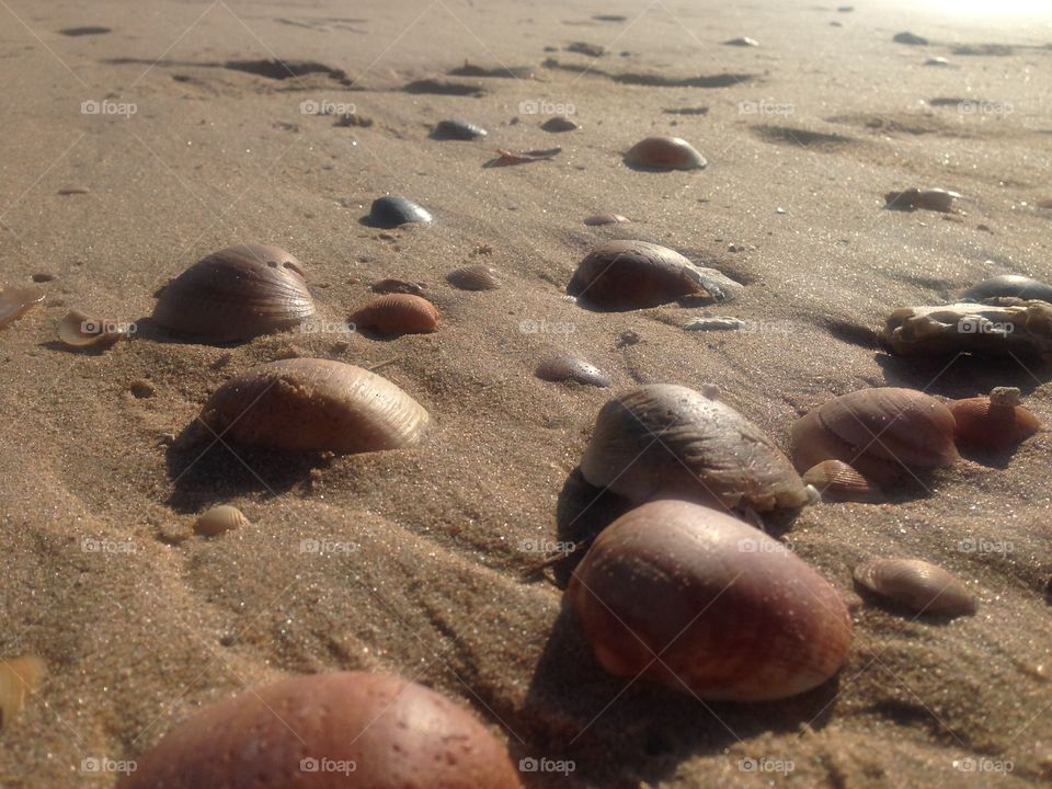 Summer in octuber is one of my favourite time in entire world! Small seashell around you is like a song of ocean life!