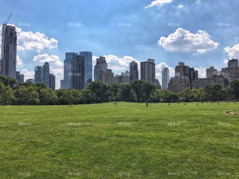 Sheep Meadow 