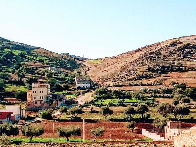 Landscape