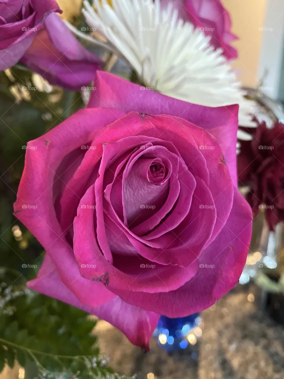 Rose