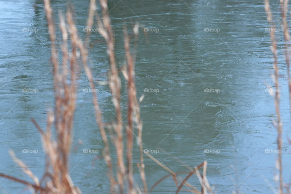 Ice covered water