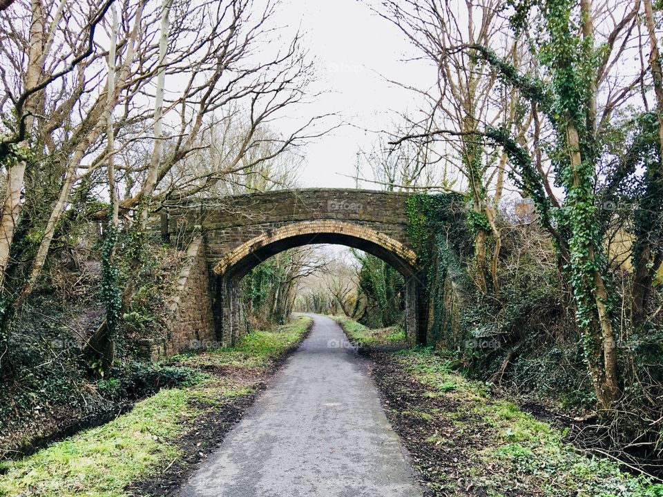 The Tarka trail between Barnstaple and Chivenor in North Devon. A wonderful path to explore and the Braunton Inn is a great place to pop in. 