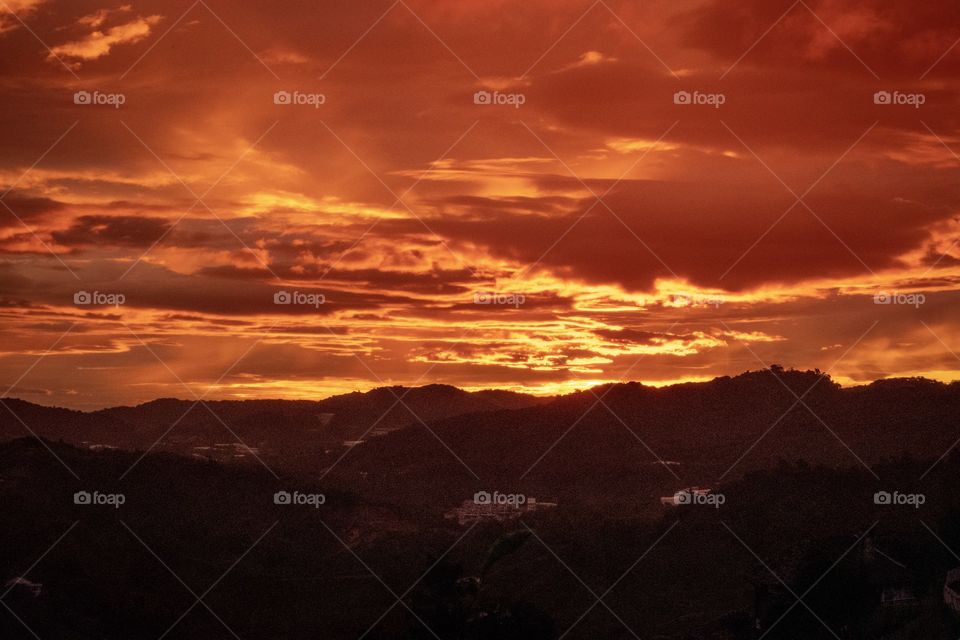 Sunrise over the tea plantation at kameron highland