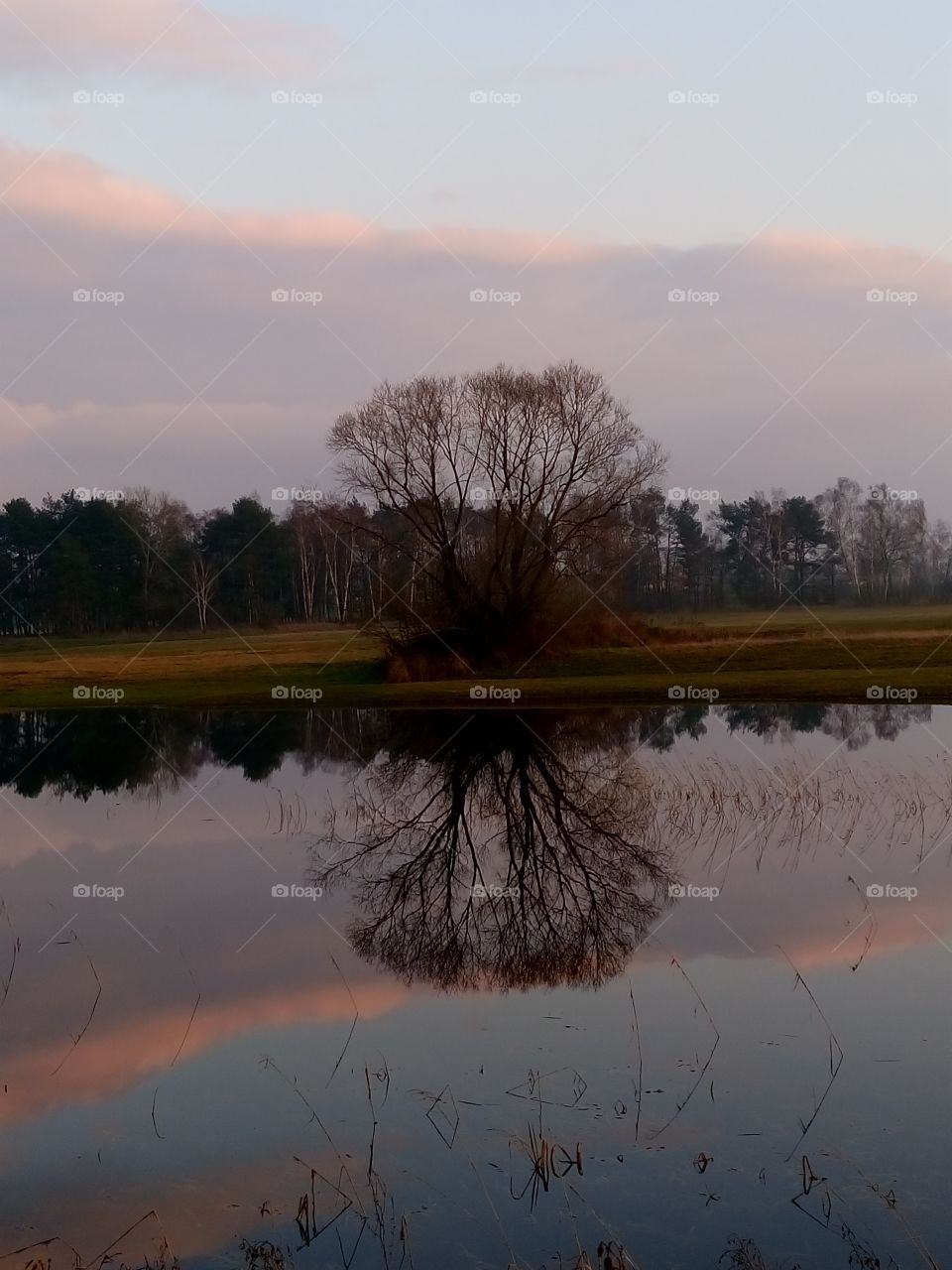 at the river pools sunset