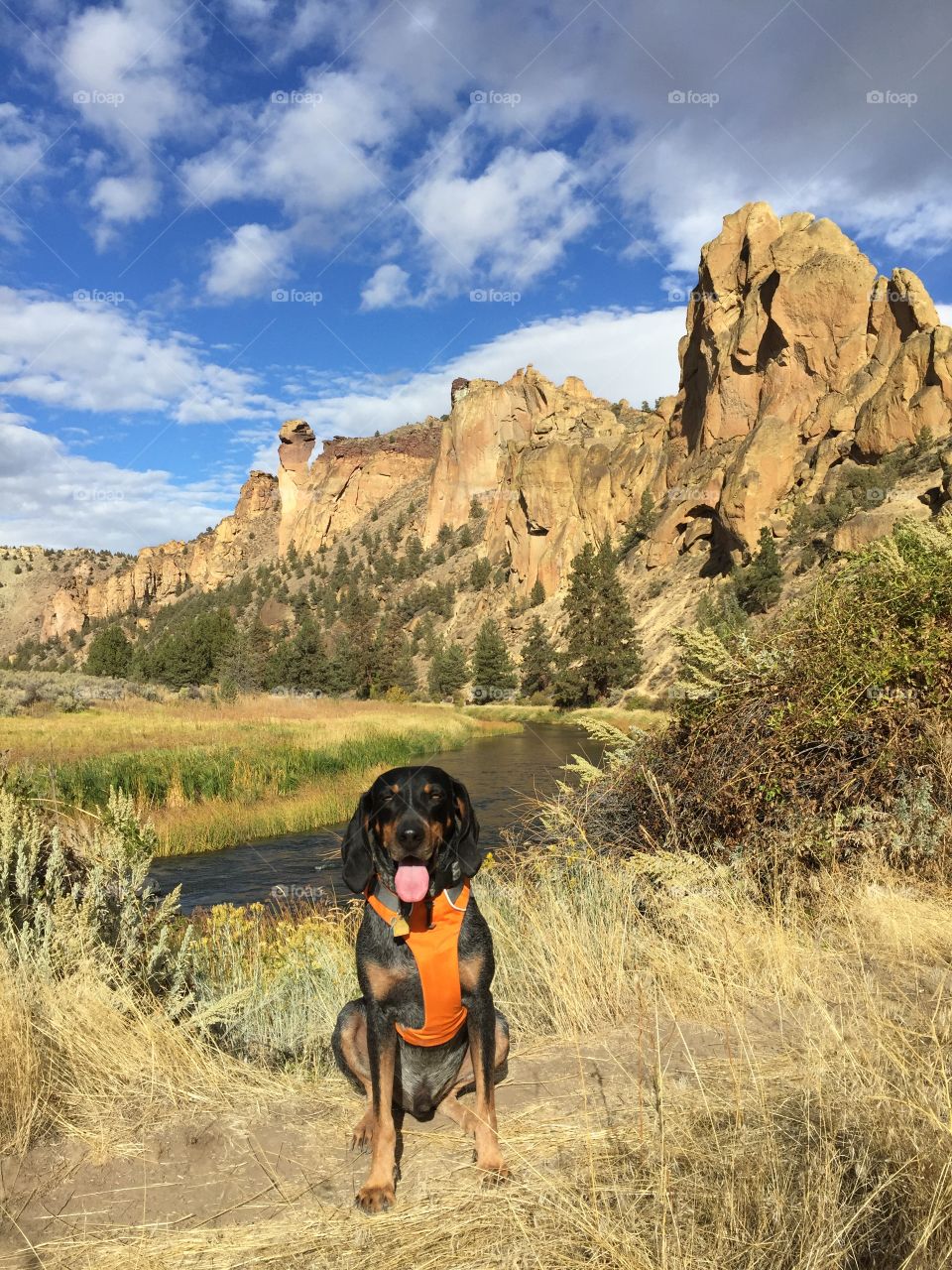 Desert Hiking