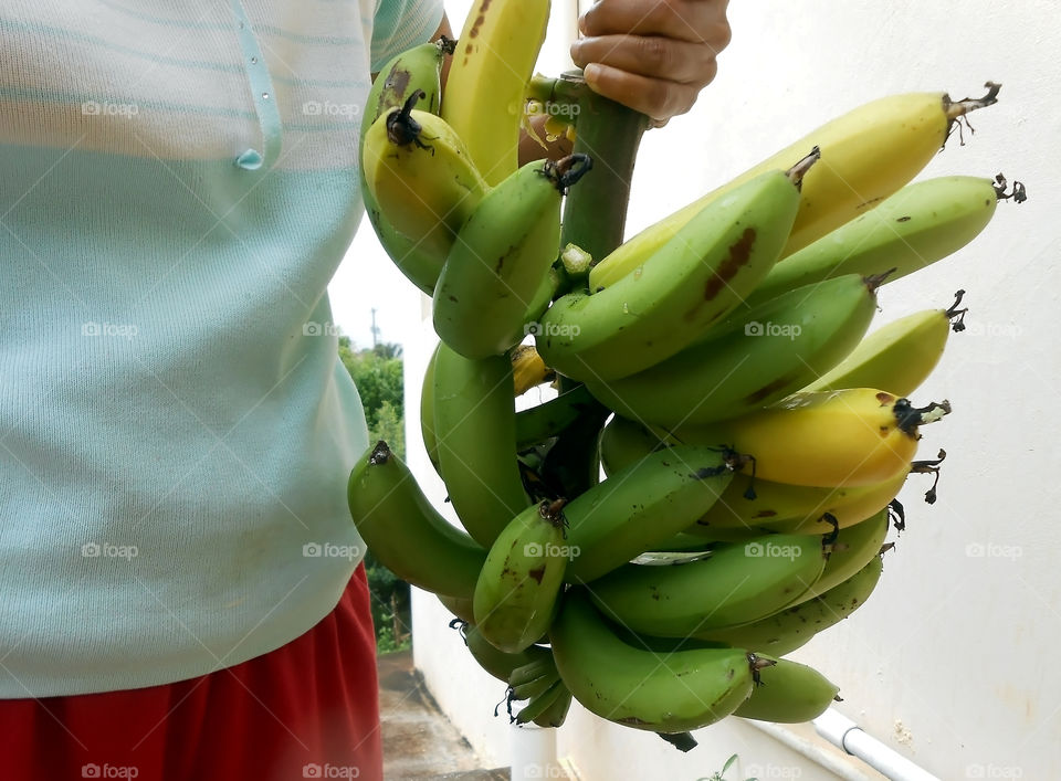 Holding Scanty Banana Bunch