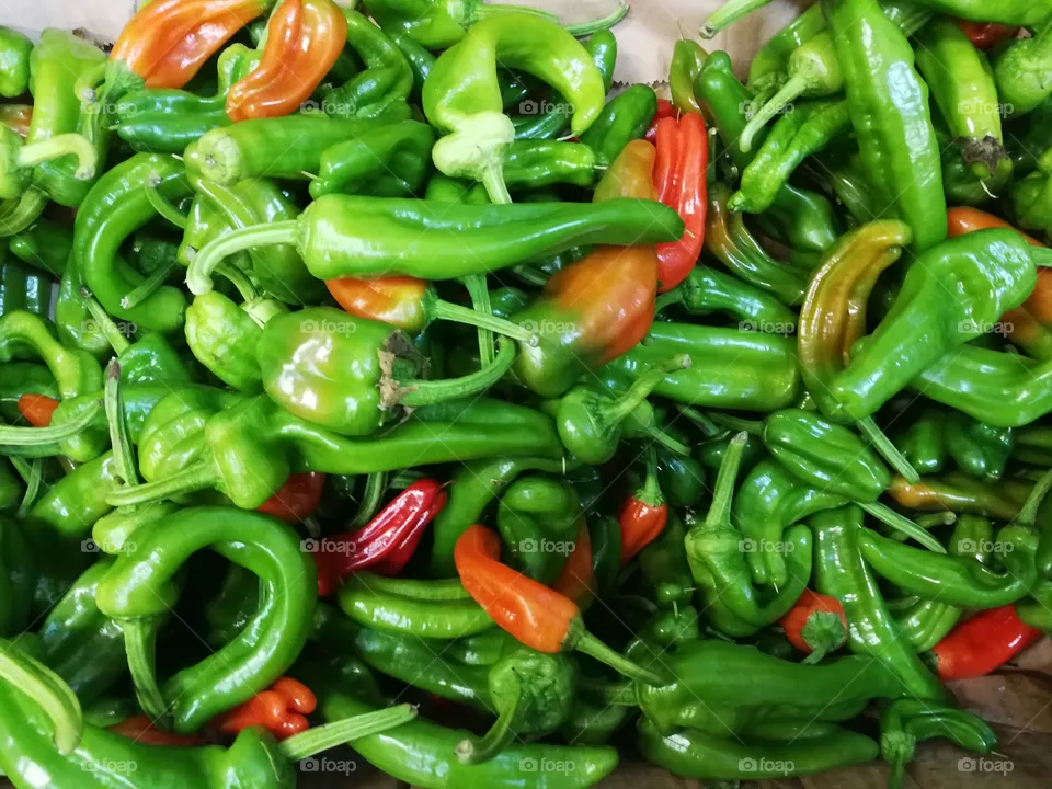 Pepper