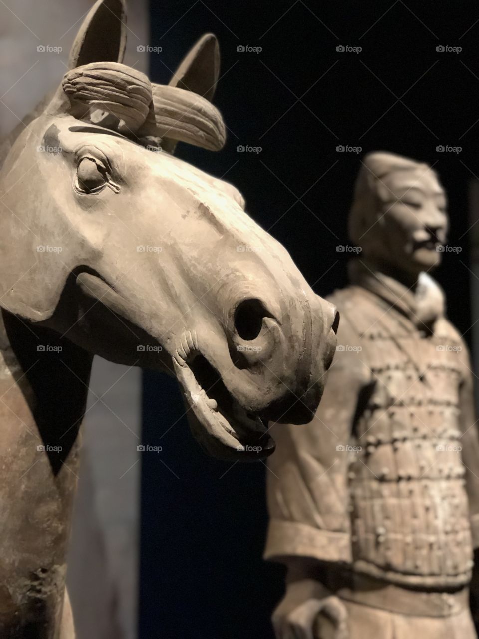 Terra-cotta Soldier and horse  