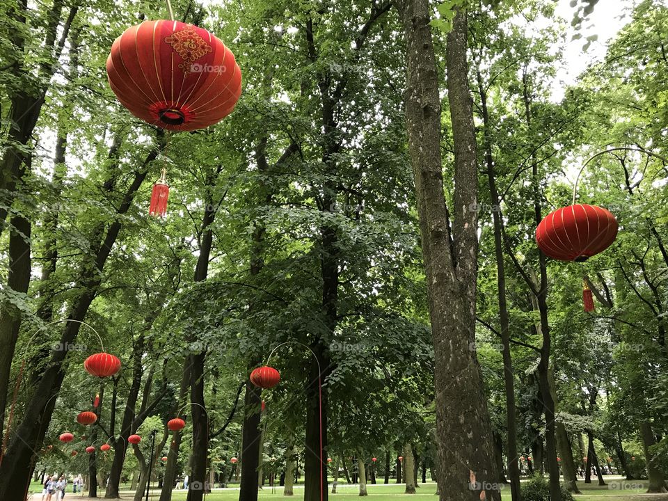 An alley of Chinese lanterns. Warsaw, Poland