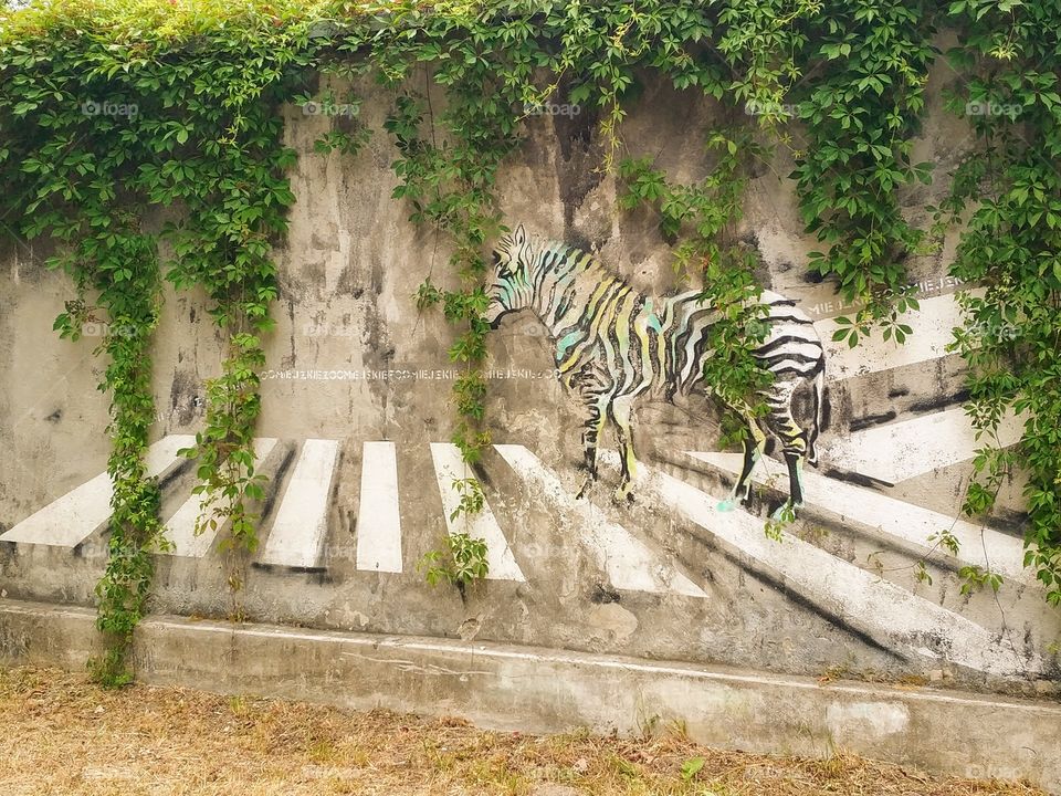 Zebra/mural