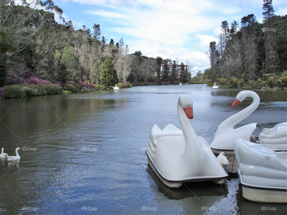 Pedalinhos no lago/Pedal boats on the lake.